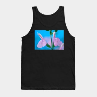 Salvia  &#39;Candy Cream&#39;  Sage Tank Top